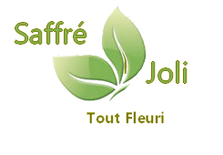 logo Saffre Joli